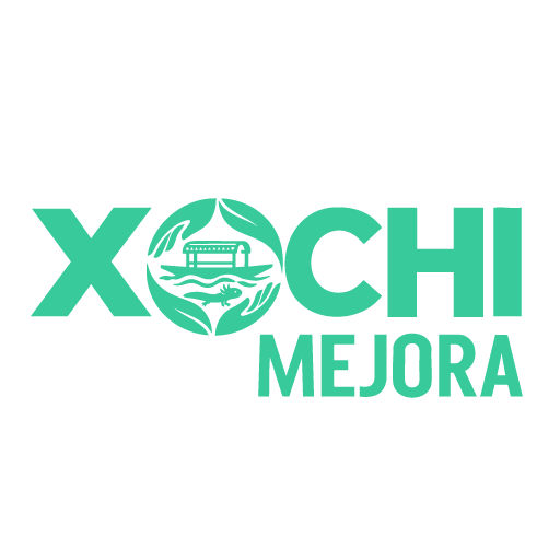 Xochi mejora